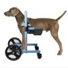 Front-Leg Mobility Aid for Small, Medium, and Large Dogs view 2