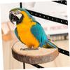Yardwe Round Wood Platform for Birdcages view 4