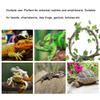 MUNEFE Reptile Vines view 3