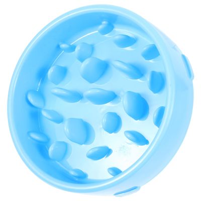 BESPORTBLE Slow Feeder Bowl for Dogs and Cats