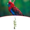 Bird Spiral Rope Perch view 3