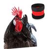 Kisangel 4-Pack Nylon Chicken Collar view 4