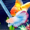 Betta Training Stick Toy, Transparent Aquarium Decoration view 3