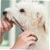 BUGUUYO 12-Piece Dog Grooming Set view 4