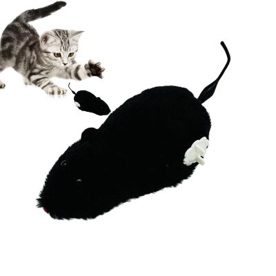 Cat and Mouse Toy