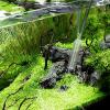 Aquarium Siphon Vacuum, 1.7 m Siphon Pump and Water Changer view 2