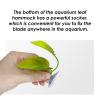 Betta Leaf Hammock view 2