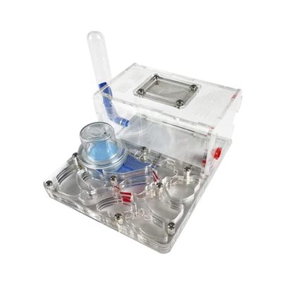 Acrylic Ant Farm with Humidifying Nest, Clear
