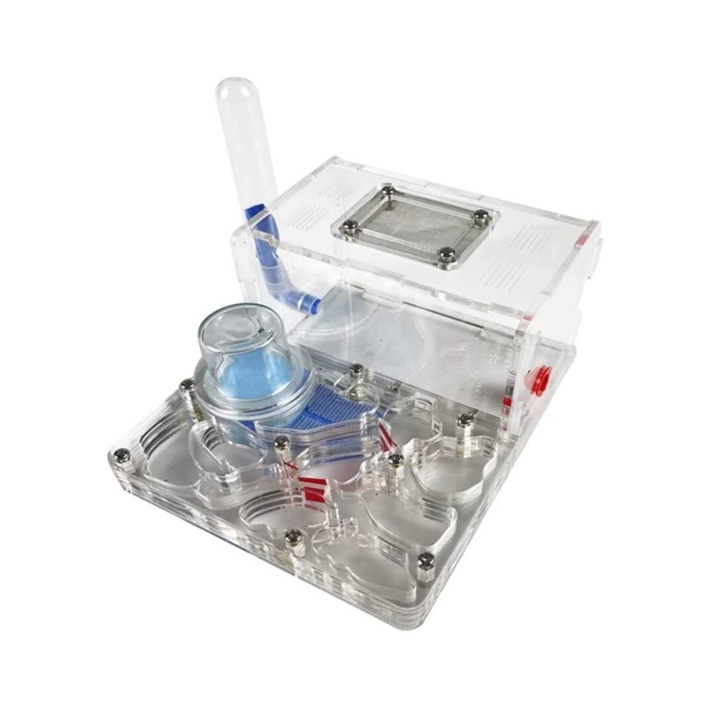 Acrylic Ant Farm with Humidifying Nest, Clear