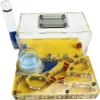 Acrylic Ant Farm with Humidifying Nest, Clear view 4