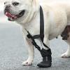 Dog Callus Bandage for Elbow and Front Leg view 3