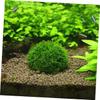 Transparent Submersible Aquarium Ball with Minerals and Thread view 3