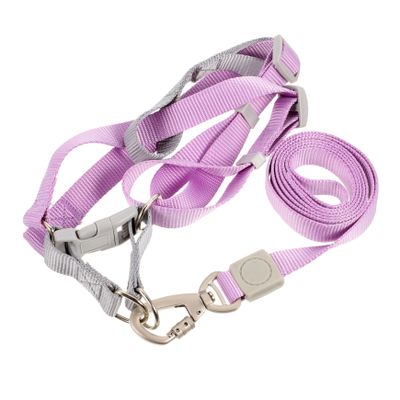 Milisten Adjustable Puppy Harness with Leash