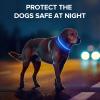 Jewyow LED Dog Collar, Rechargeable & Adjustable view 2