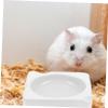 BUGUUYO Ceramic Hamster Bowl, Cheese Shape, Washable and Break-Resistant, for Chinchillas and Small Pets view 3
