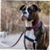 Levemolo 10 Pack Metal Pet Bells view 2