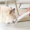 Cat Strip Feeder view 2