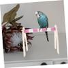 Kisangel Bird Training Stand view 4