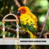 Budgie Swing Toy for Birdcages view 3