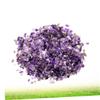 Amosfun 100g Natural Amethyst Gravel view 2