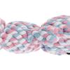 CAPASTEC Puppy Dental Care Chew Toy view 3