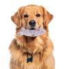 CAPASTEC Puppy Dental Care Chew Toy view 4