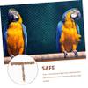 COLLBATH Parakeet Swing Bird Toy view 3