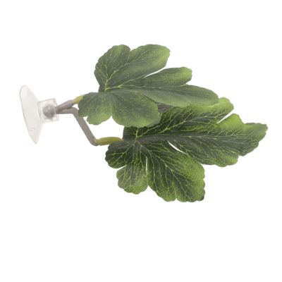 HAPINARY Betta Fish Leaf Decoration