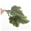 HAPINARY Betta Fish Leaf Decoration view 4