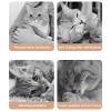 Cat Spay Recovery Suit, Elastic Wound Protection, E-Collar view 4