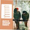 HAPINARY Parrot Bird Stand view 4