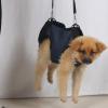 Adjustable Dog Support Sling Harness view 4