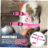 BUGUUYO Adjustable Rabbit Leash for Pets view 2