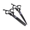 GZSLKSCD 6-Inch Black Hair-Thinning Scissors, Hairdressing Salon Scissors (Color: Thinning) view 2