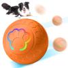 BORDEAG Interactive Dog Toy Ball - Rechargeable view 1