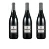 Value Pack (3 x 0.75 L) Sangiovese del Conte Rubicone IGT Conte di Campiano/ErnenWein/WINE view 1