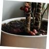 KITANDOVE Mini Pavilion Statue, Outdoor Garden Landscape Decoration for Aquarium view 4