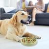 Slow Feed Dog Bowl - Anti-Slip Bloat Stop Maze view 2