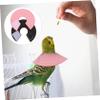 CIYODO 2-Pack Anti-Pick Plastic Collar for Parrots view 2