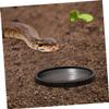 Levemolo Plastic Food Bowl for Small Pets and Reptiles with Smooth, Easy-to-Clean Surface view 2