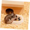BELLIFFY Wooden Pet Bowl view 4