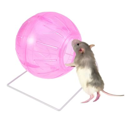 BESPORTBLE Hamster Exercise Ball with Stand, Safe and Stable, Pink