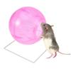 BESPORTBLE Hamster Exercise Ball with Stand, Safe and Stable, Pink view 1