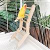 Bird Cage Ladder - Wooden Climbing Toy view 3