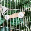 Wooden Bird Ladder, Foldable view 2