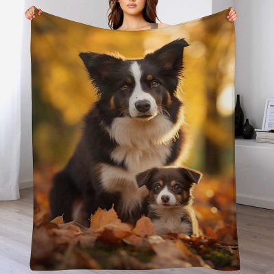 VFSAfiwaf Plush Blanket for Dogs, Soft, Warm, Fluffy, 100 x 130 cm