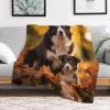 VFSAfiwaf Plush Blanket for Dogs, Soft, Warm, Fluffy, 100 x 130 cm view 2