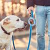 Dog Training Treat Pouch view 2