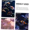 Happyyami 2-Piece Fish Breeding Box for Aquariums view 4