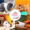 Portable Hamster Carrier for Small Pets view 4